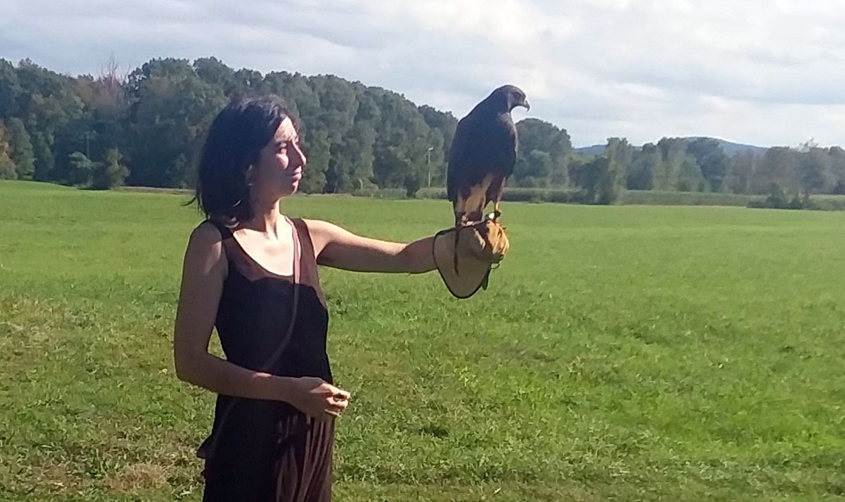 A student in the Learning Community course "All Things Connect holds a Harris hawk during a recent field trip to New England Falconry in Hadley. 