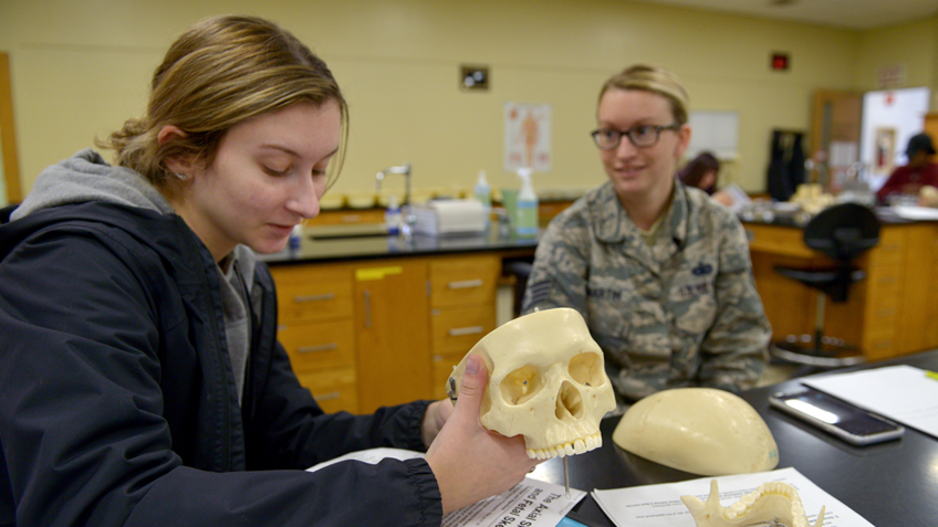Two students examine a human skull model in a lab