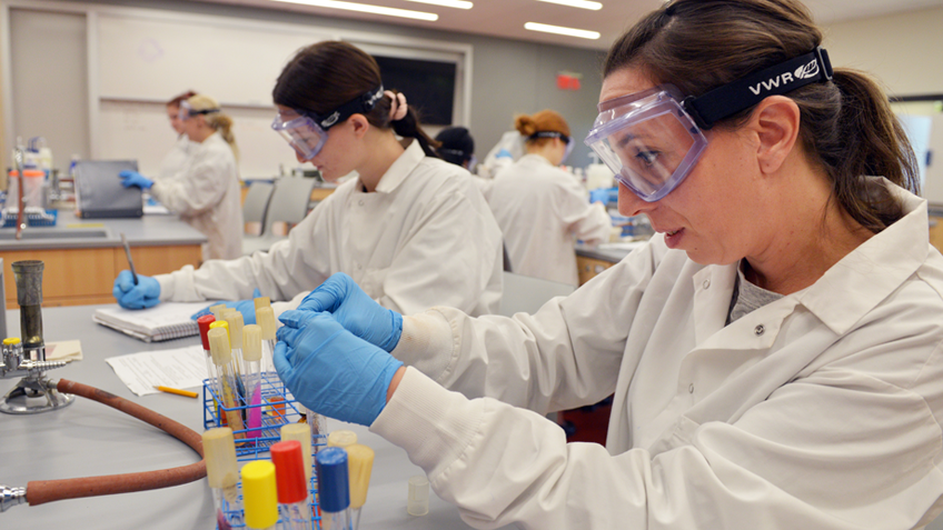 Chemistry students work together at a lab counter