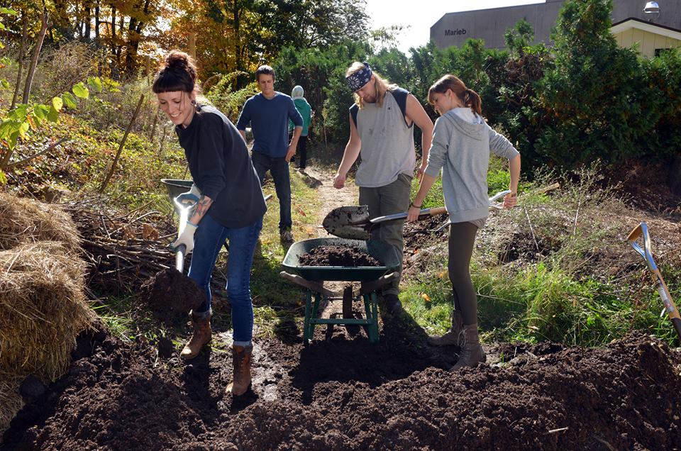 A group of students working in the HCC garden