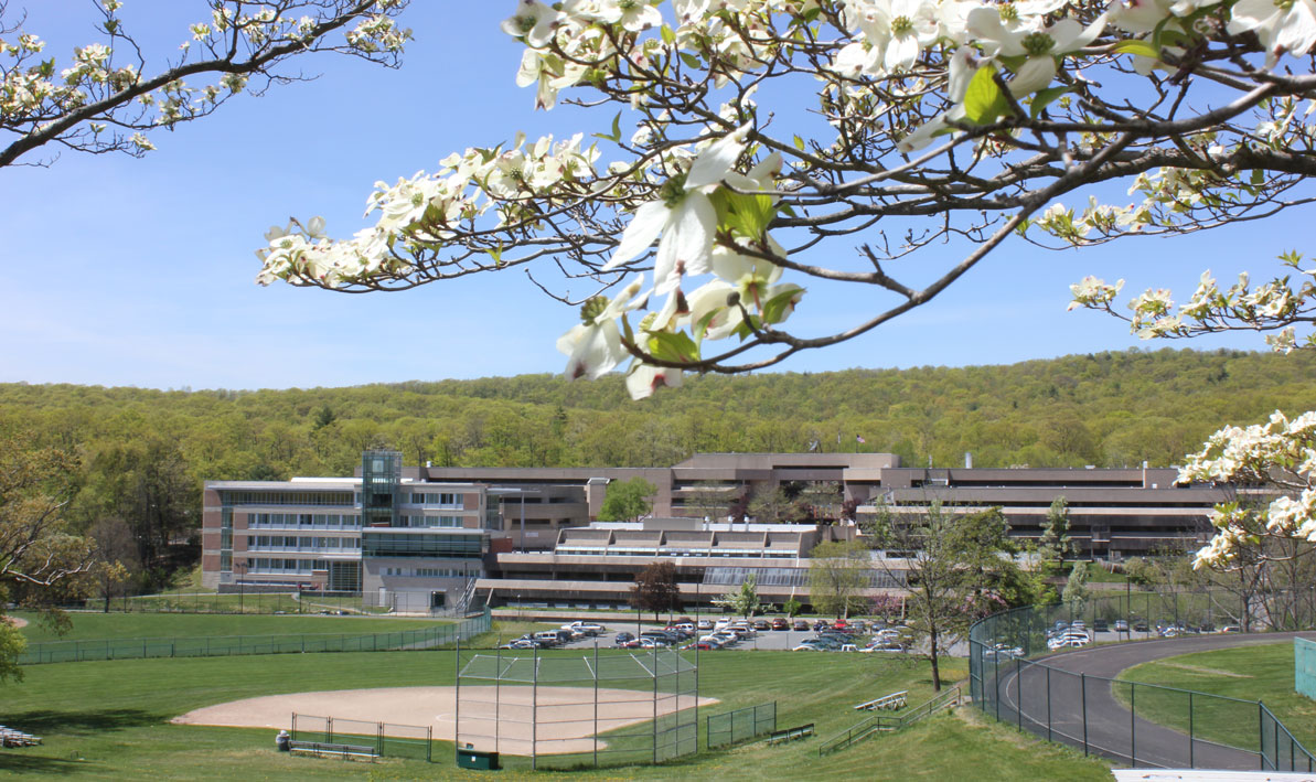 HCC campus spring with flowers