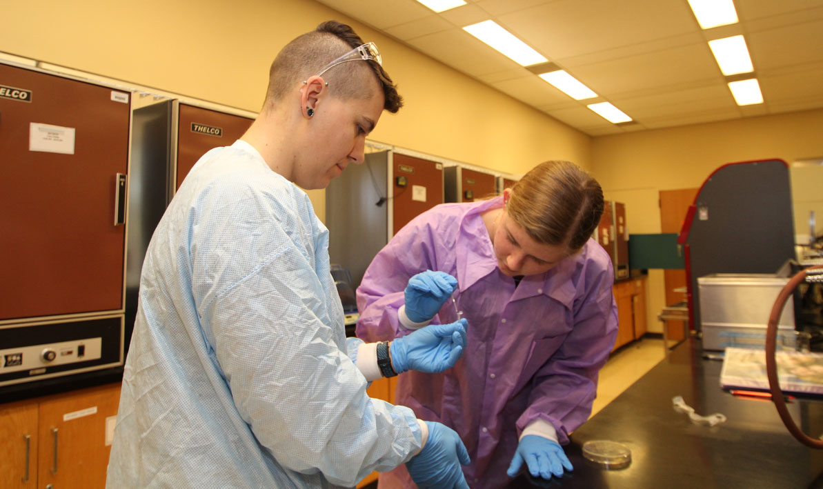 HCC honors biology lab partners Shayla Fiedler from Longmeadow and Ariana Shannon from Becket at work on their research project. 