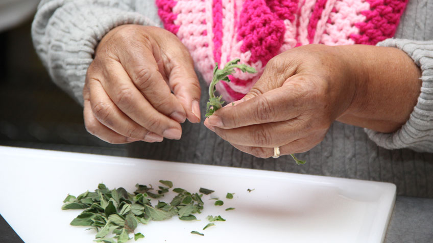 Miriam Gonzalez of Springfield prepares fresh oregano. 