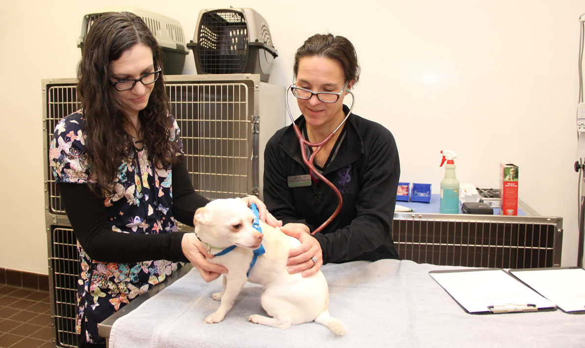 Vet tech teacher Jennifer York with student