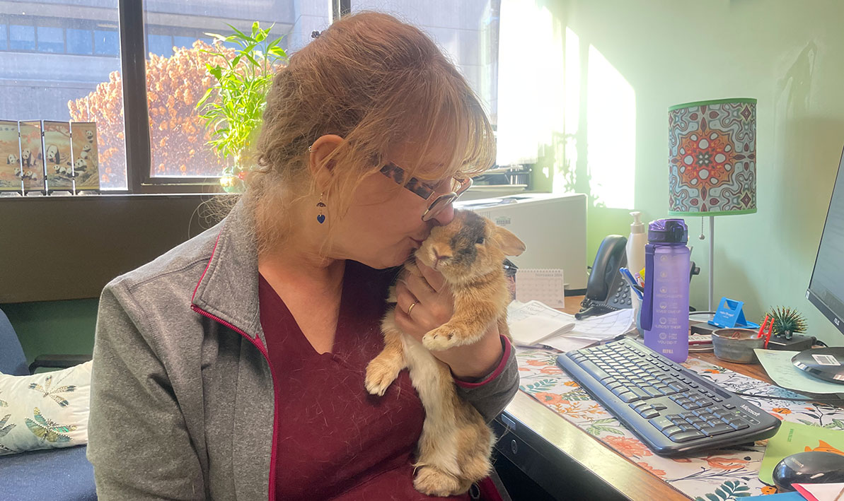 Christine O'Neill kisses Cricket, one of the two HCC rabbits up for adoption.