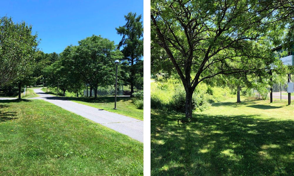 Hole one on the disc golf course at HCC