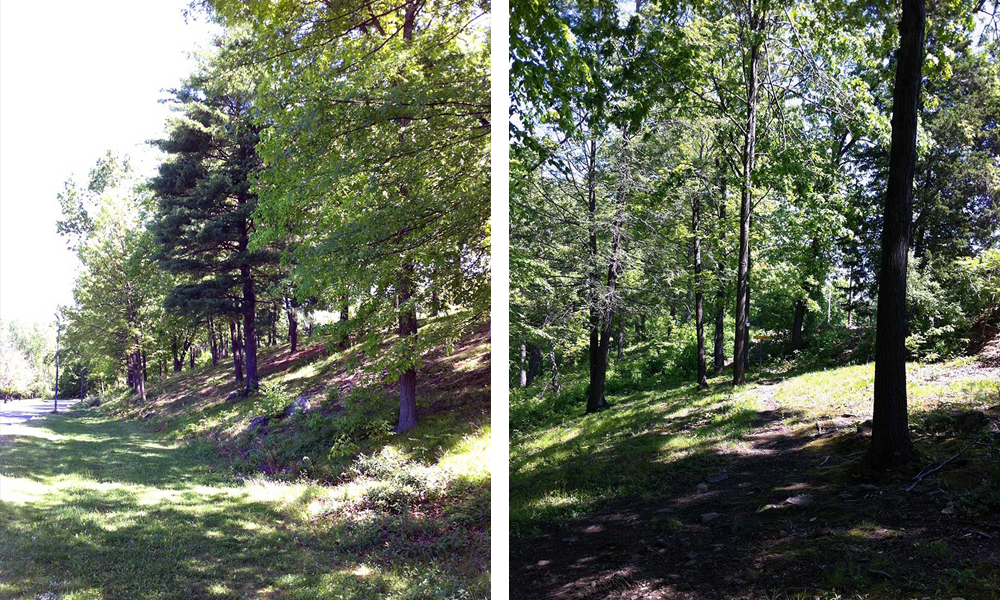 Hole ten on the disc golf course at HCC