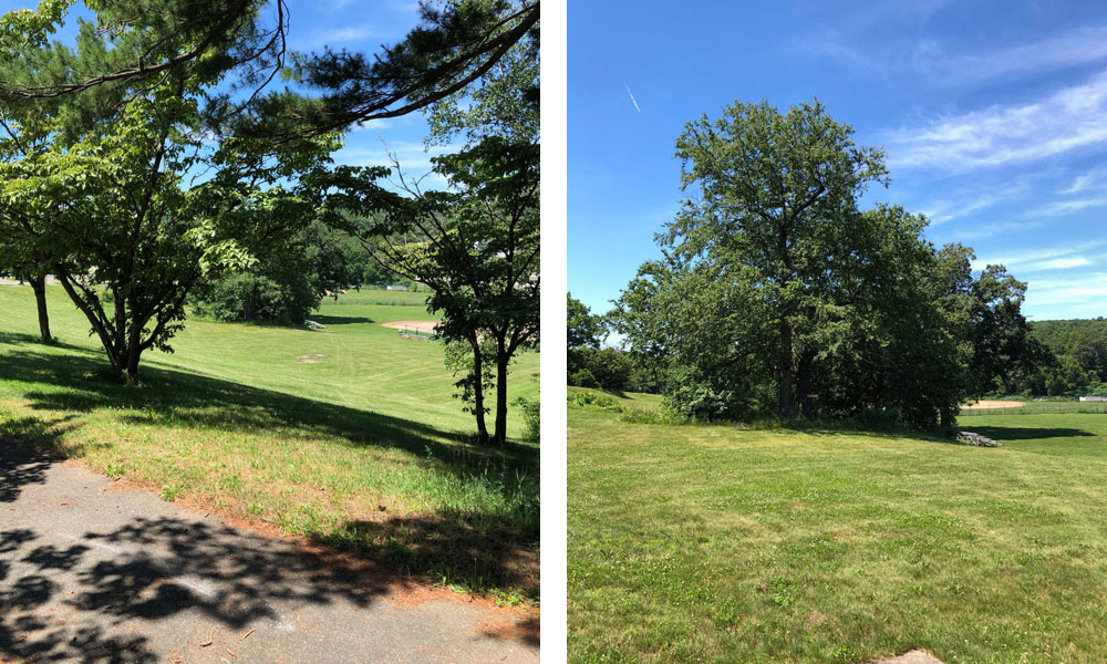 Hole seven on the disc golf course at HCC