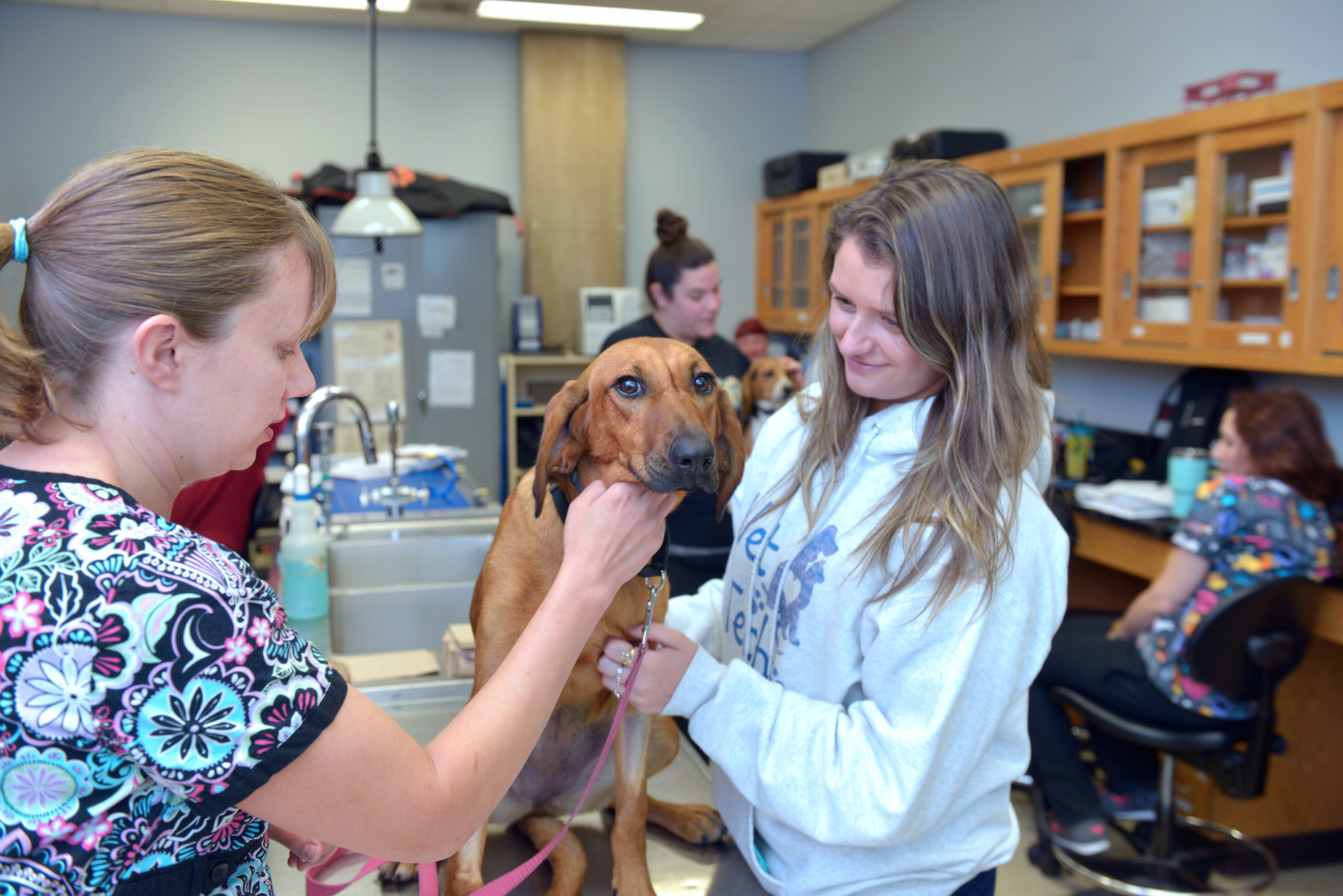 Two vet tech students with a dog