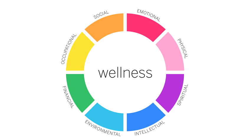 A wellness wheel diagram